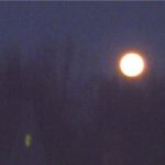 Cycle Lunaire, Cycle de Vie!